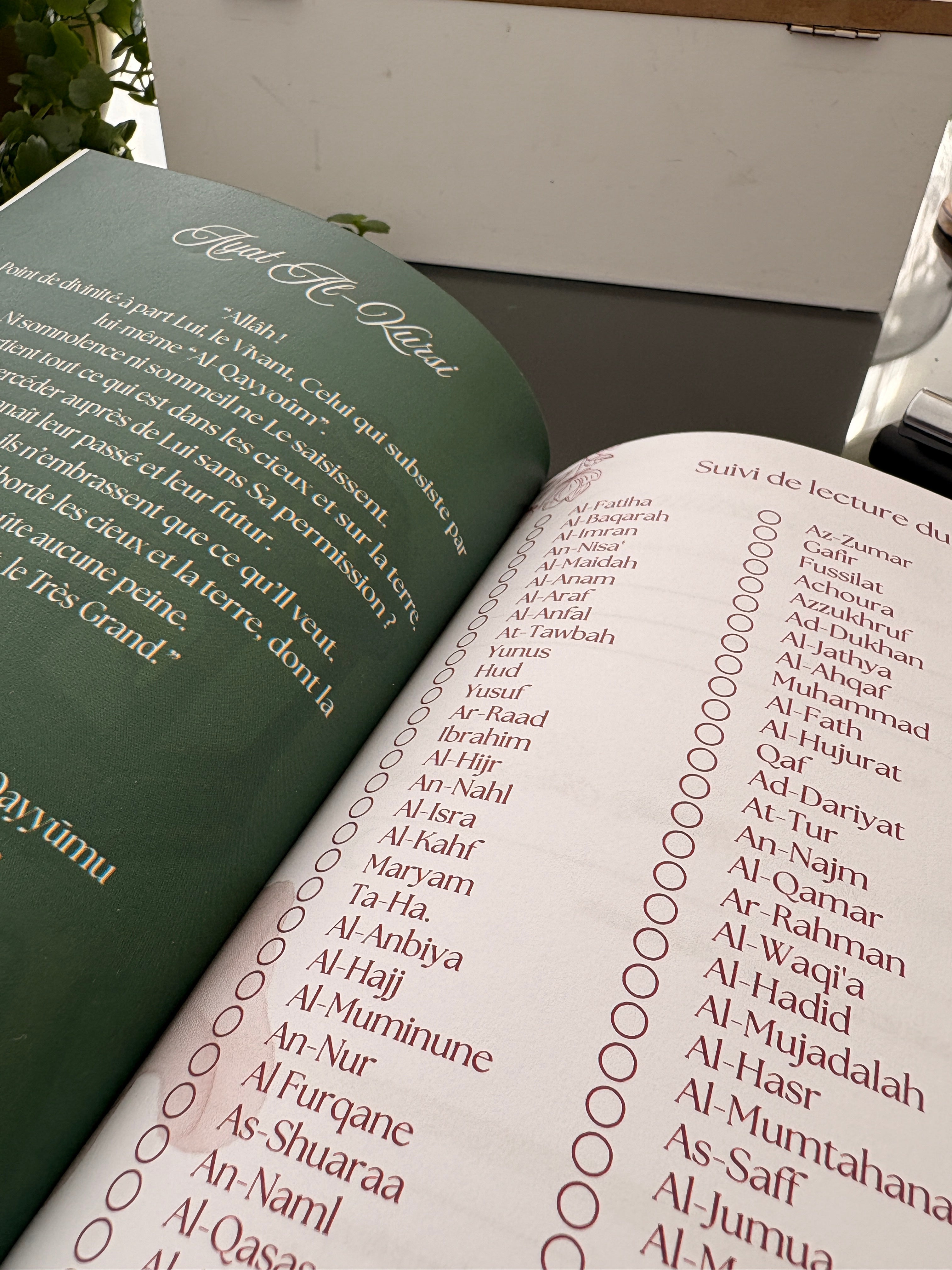 Planner SALAM SOI Collections
